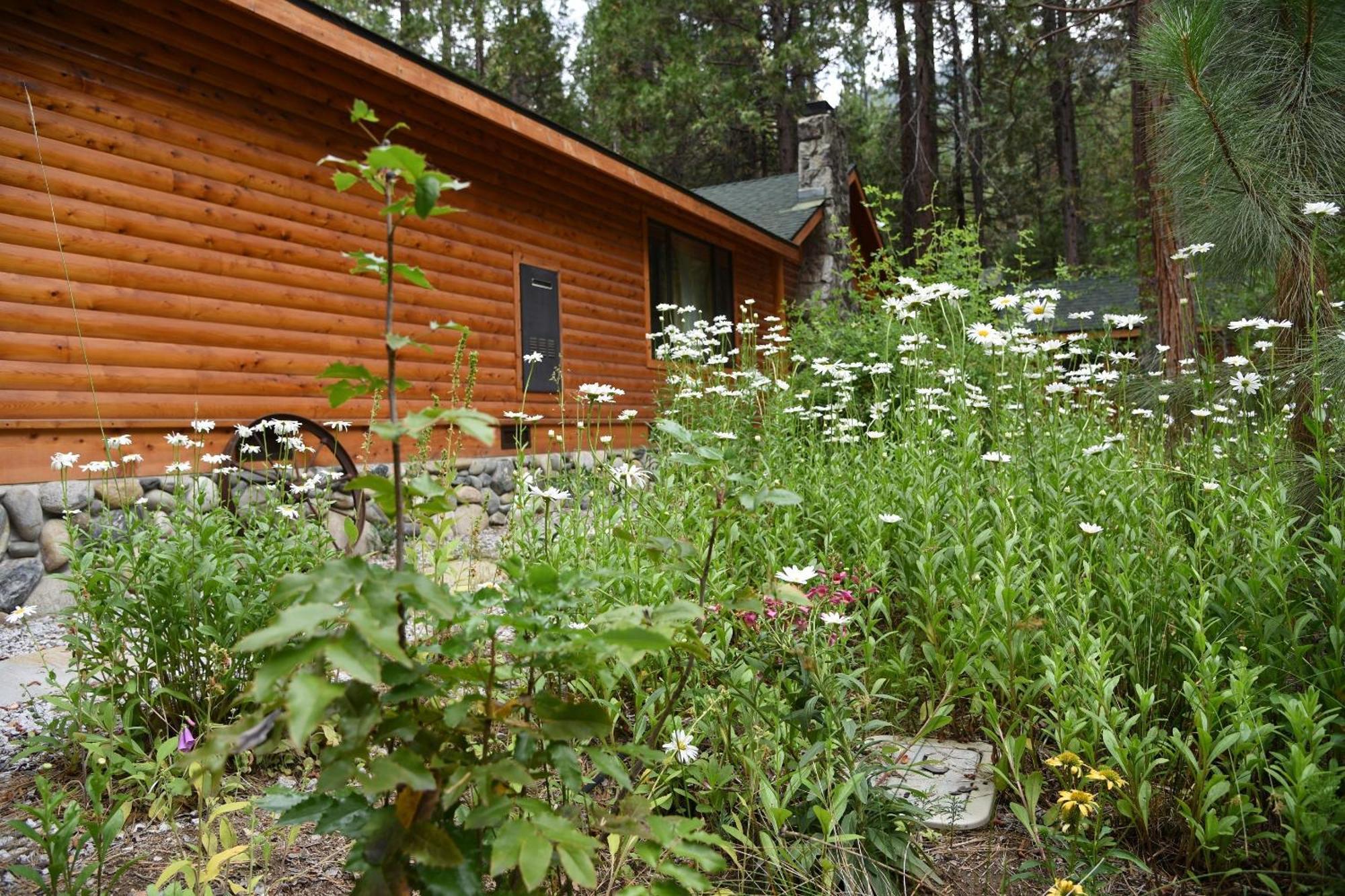 Grizzly Giant Villa Wawona Eksteriør bilde